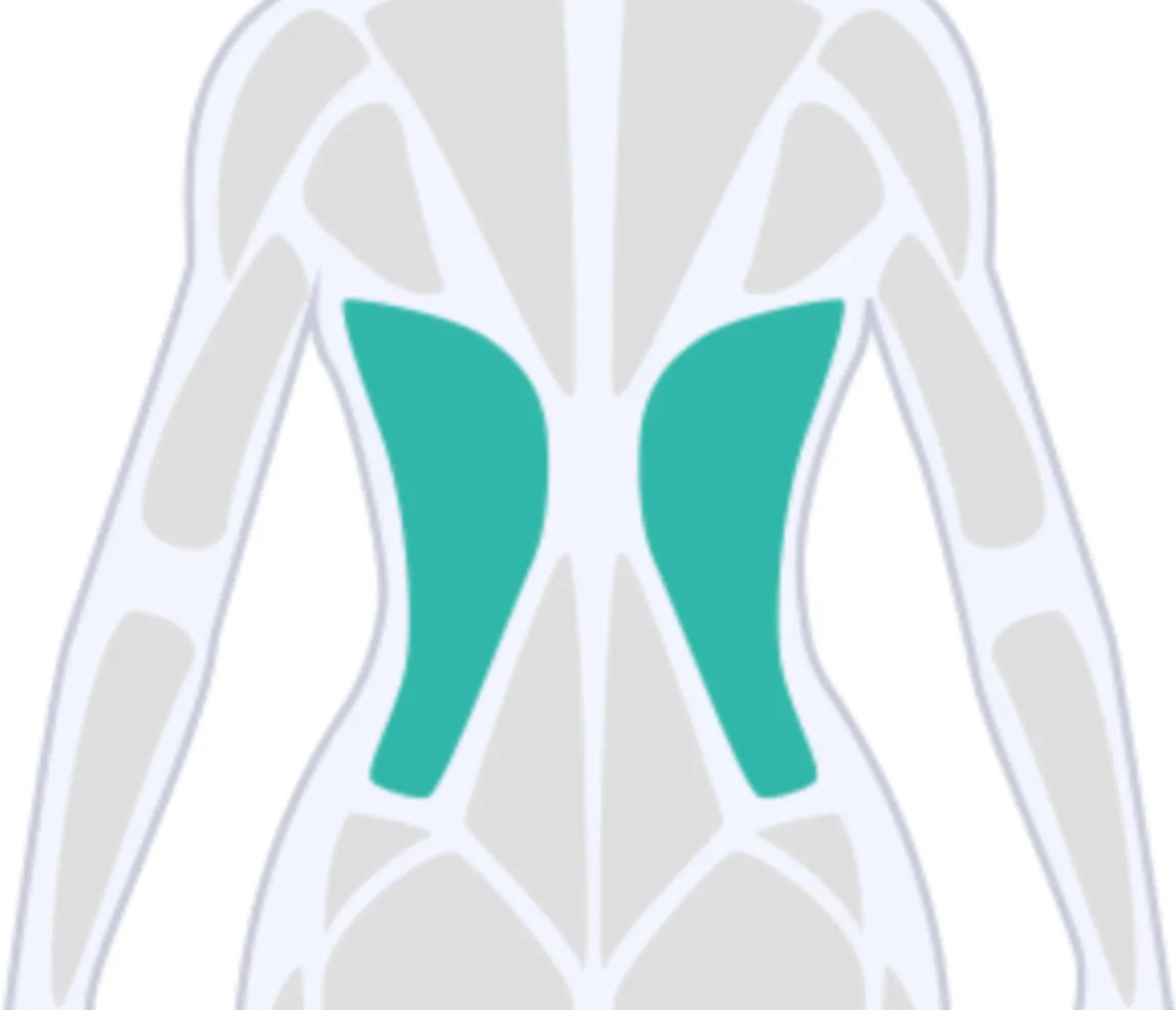 Latissimus-Übungen zuhause: Rücken stärken & Haltung verbessern