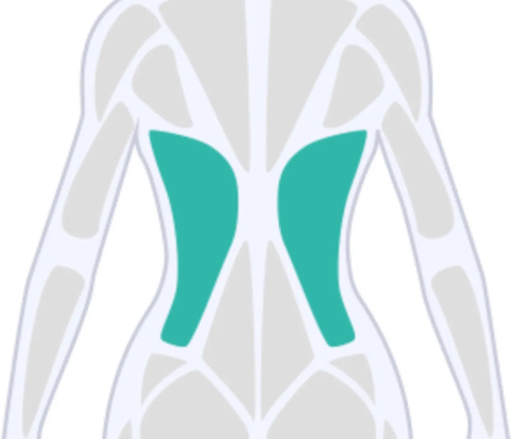 Latissimus-Übungen zuhause: Rücken stärken & Haltung verbessern