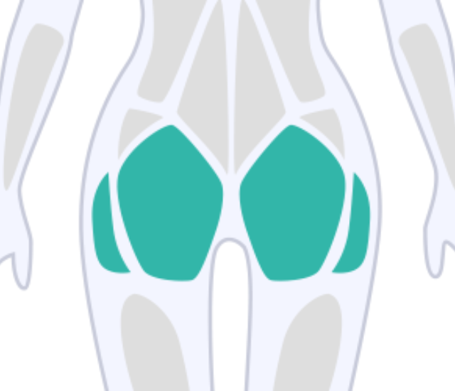 Bulgarian Split Squats: Ausführung und Funktion