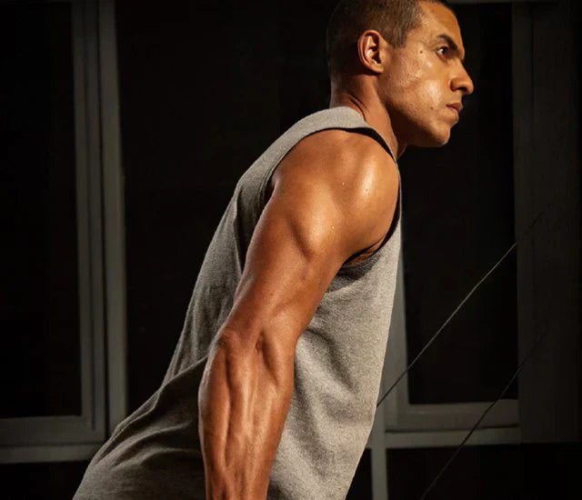 Wie führt man Box Squats sicher und kontrolliert aus